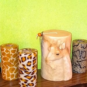 Set of Safari Candles